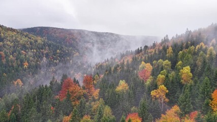 gentle slopes beneath cloudy sky, calm valley surrounded by vibrant forests and drifting mist - Powered by Adobe