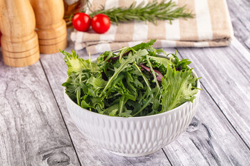 Fresh green ruccola salad leaves