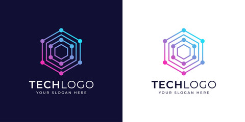 Hexagon Digital Circuit Logo with Clean Modern Tech Line Structure