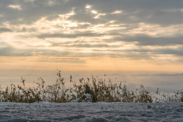 三次市高谷山展望台から見える雲海