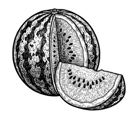 Watermelon whole and sliced, vintage engraving