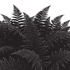 Layered Fern Fronds Silhouettes, Forest Undergrowth, Nature Leaf Outline, Lush Botanical Vector