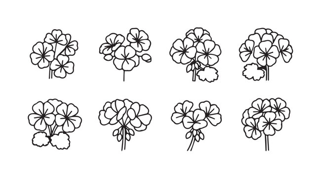 Collection of hand drawn geranium flower clusters botanical sketch elements for design vector