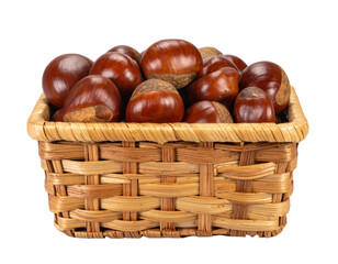 Obraz premium Wicker Basket Filled with Fresh Raw Water Chestnuts, Front View, isolated on transparent background