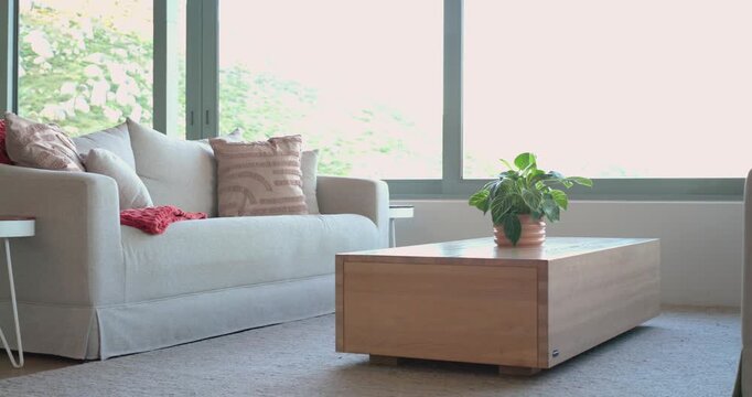 Camera beginning with sofa and panning toward coffee table and plant for focused living room shot