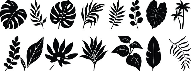 Tropical leaves vector. Set of palm leaves silhouettes isolated on white background. vector set of tropical leaves with a simple silhouette style.Collection of black silhouette tropical leaves  © Vector Store