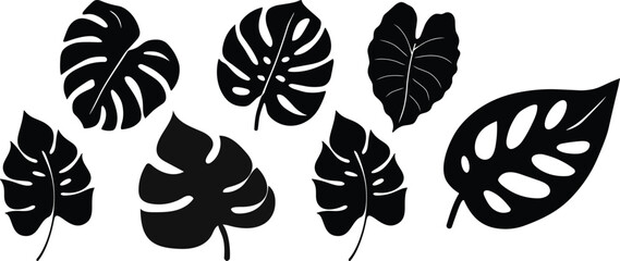 Tropical leaves vector. Set of palm leaves silhouettes isolated on white background. vector set of tropical leaves with a simple silhouette style.Collection of black silhouette tropical leaves 