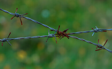 Rusted Boundaries.