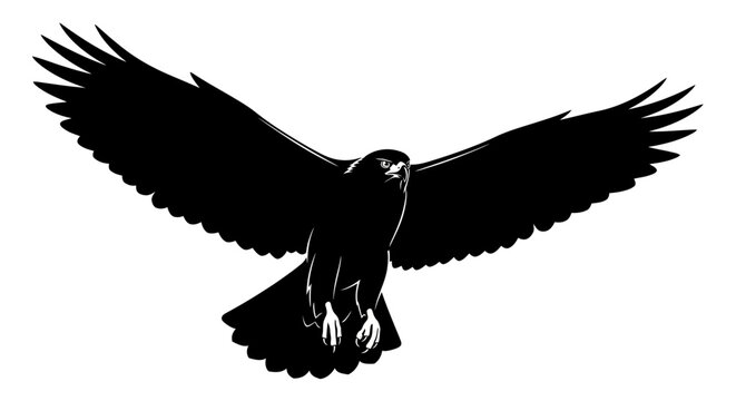 Soaring hawk silhouette with transparent background