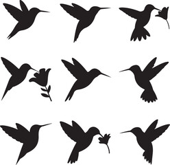 Fototapeta premium Elegant silhouettes of hummingbirds in flight and feeding on flowers