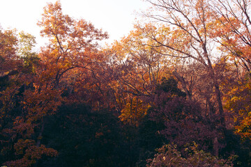 兵庫県・日本で一番ため池の多い県