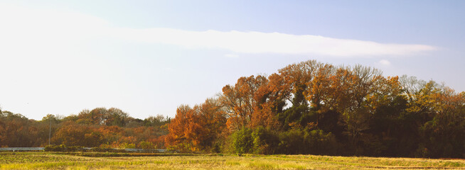兵庫県・神戸市西部の農地耕作条件改善事業