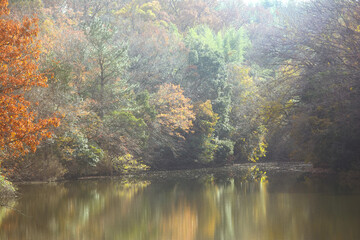 兵庫県・日本で一番ため池の多い県