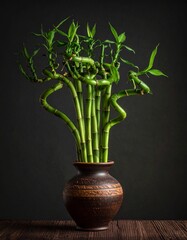 A vibrant green lucky bamboo plant with twisted stalks in a rustic brown ceramic vase on a dark wooden surface against a dark background.