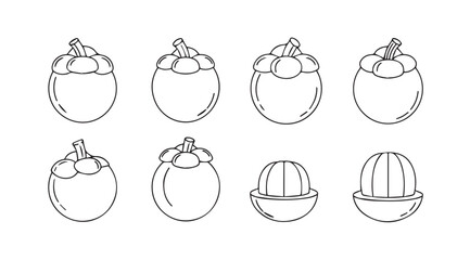 Set of hand drawn mangosteen fruit sketches isolated on vector