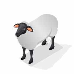 Isometric illustration of a black faced sheep standing