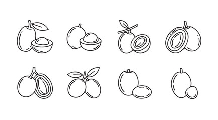 Hand drawn sketch set of tropical fruits featuring guava lychee and macadamia nuts isolated elements vector