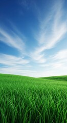Lush green field under a vibrant blue sky