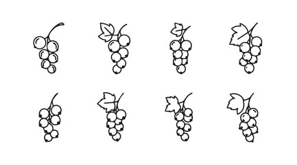 Hand drawn grapes collection sketchy fruit elements agricultural harvest produce organic healthy food art vector