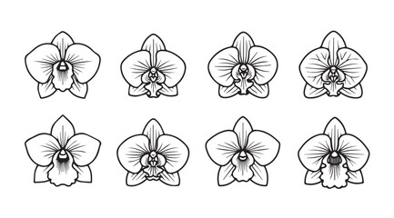 Set of eight hand drawn orchid flower silhouettes with subtle shading and delicate petal detail vector © iconworld