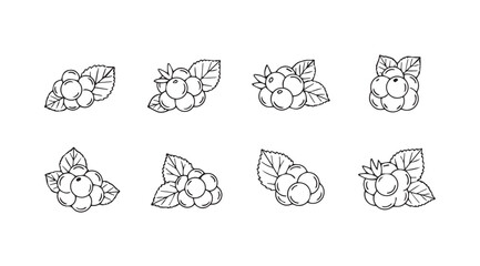 Hand drawn collection of eight fresh organic berry clusters isolated on vector