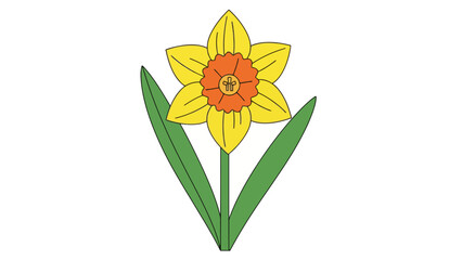 A yellow daffodil with an orange center and green leaves