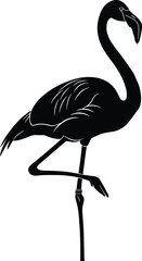 Flamingo silhouette standing on one leg, elegant bird pose, minimalist black shape, tropical wildlife icon, graceful animal illustration, white background
