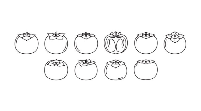 Collection of hand drawn stylized persimmons fruit outline drawings isolated elements vector