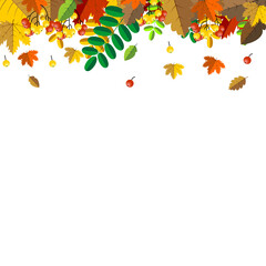 Thanksgiving Autumn Fall Border with Berries