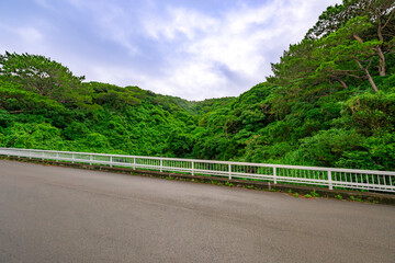  緑あふれる山々と道路が美しい石垣島の自然豊かな風景