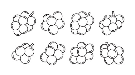 Fresh hand drawn sketch grapes collection food organic fruit botanical artwork simple art vector