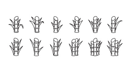 Set of simple line art drawings of sugar cane stalks and leaves for agro-industry design vector