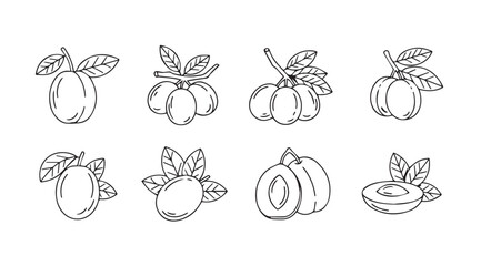 Set of hand drawn fruit illustrations featuring plums and apricots with leaves isolated on white vector