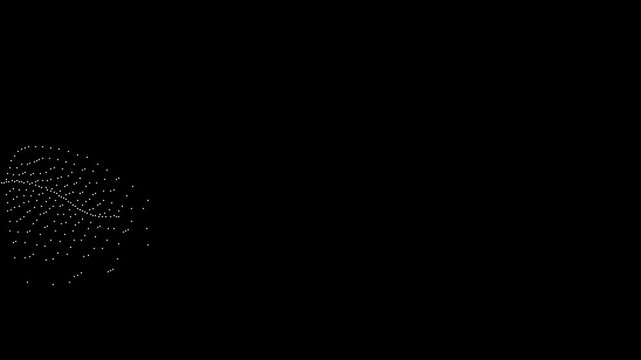 video one line drawing la tulip simple minimalist - dither 