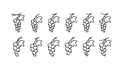 Delicate hand drawn grapes bunch decorative elements for vintage and rustic designs vector