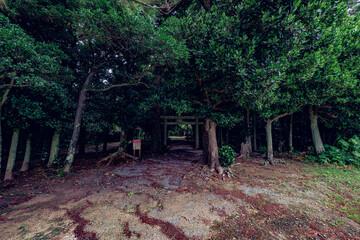  自然と信仰が調和する石垣島の群星御嶽の神聖な風景