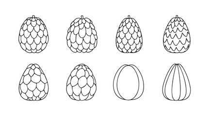 Collection of outline sketches of dragon fruit varieties in different forms vector