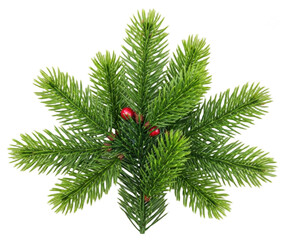 A close-up of a pine tree branch with green leaves and small red berries, berry, branch, christmas tree, evergreen, fir, fir tree, green, needle, pine, red, spruce, tree, twig