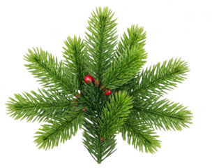 A close-up of a pine tree branch with green leaves and small red berries, berry, branch, christmas tree, evergreen, fir, fir tree, green, needle, pine, red, spruce, tree, twig 