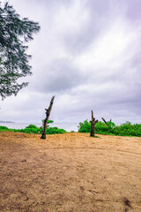  曇り空の下に広がる石垣島の静かな海辺の風景