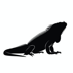 Fototapeta premium Silhouette of a Large Reptile on White Background