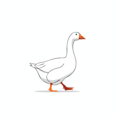 Obraz premium Simple Illustration of a White Goose