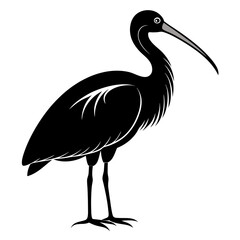 Spoonbill vector clean black silhouette design white background