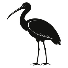 Spoonbill vector clean black silhouette design white background