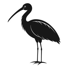 Spoonbill vector clean black silhouette design white background