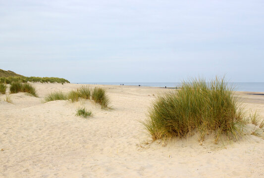 the dunes, Renesse, Zeeland, the Netherlands