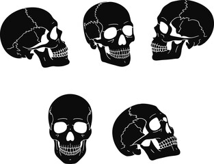 Human skull silhouette, anatomy illustration, medical skeleton drawing, horror design element, Halloween decoration, cad drawing flat vector illustration