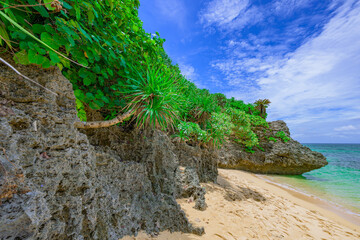  岩場と緑が織りなす石垣島のエメラルドブルーの海岸風景