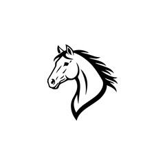 black horse isolated