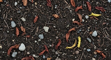 Detailed Ground Texture with Leaves and Small Stones.